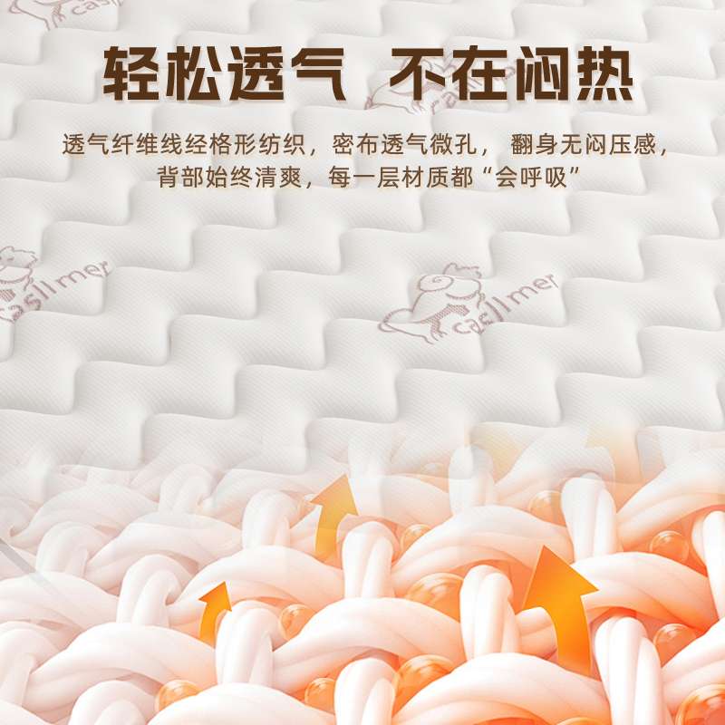 弹簧床垫子家庭用卧室乳胶软租房专用硬椰棕20cm厚四季通用席梦思