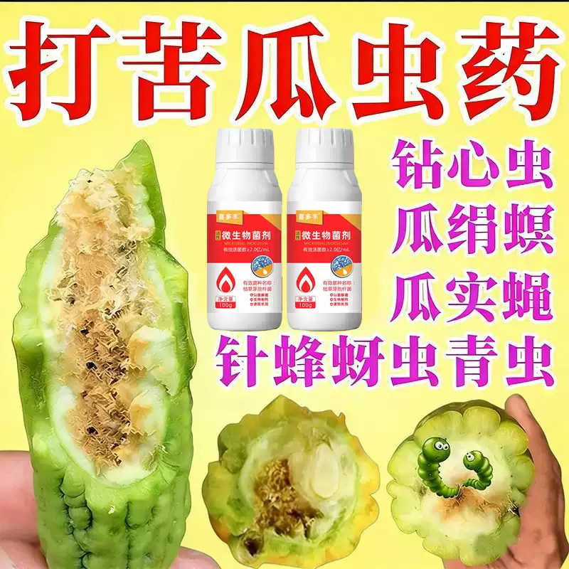 苦瓜病虫害防治水溶叶面肥杀菌
