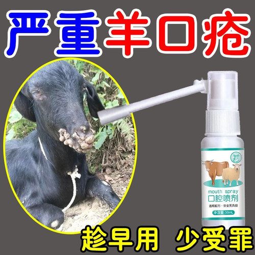 羊嘴疮口烂速治强效口腔喷剂