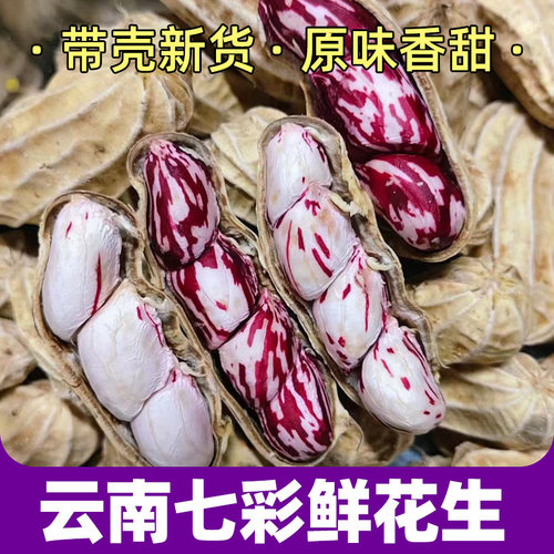 2026云南新鲜现挖七彩花生带壳农家水果五彩花生当地好吃整箱