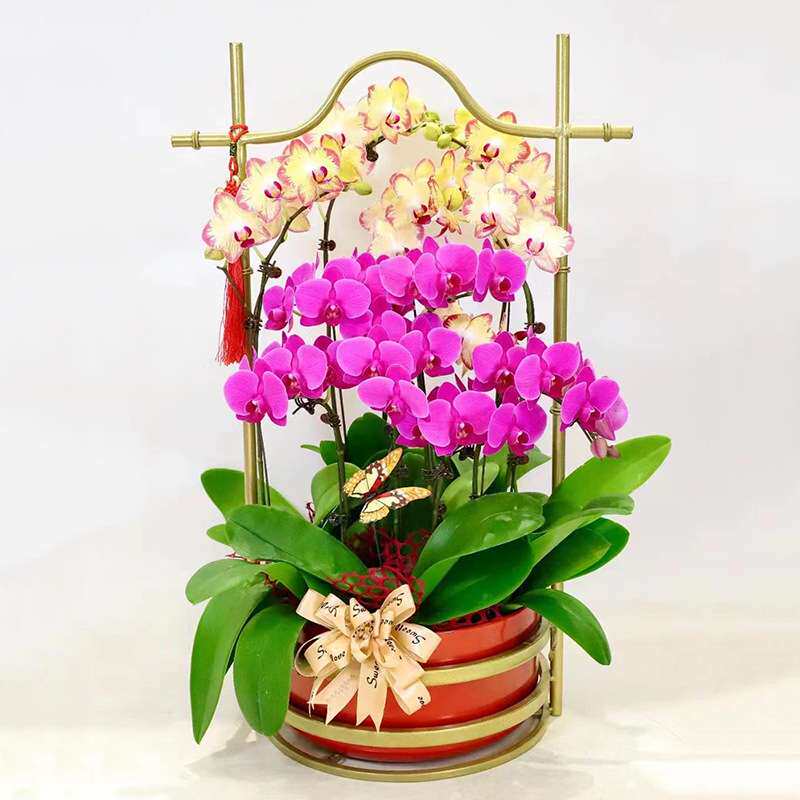 新中式冬青银柳蝴蝶兰年宵花插花盆铁艺轻奢花篮花器福盆福桶花桶