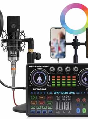 48V麦克风适用于工作室现场声卡直播设备便携式Dj20调音台声卡