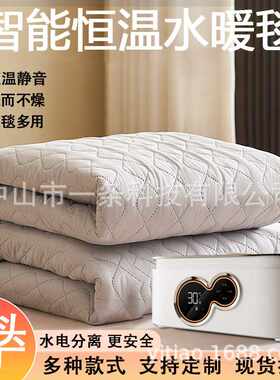 2026新款水暖毯电热毯双人家用数显遥控电褥子单人智能恒温加热毯