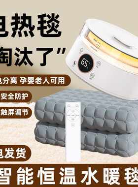 水暖电热毯单人双人水循环双温双控电褥子家用水热毯加热炕电暖毯