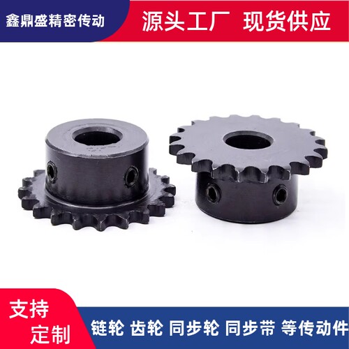 链轮SP100B10 11 12 13 14 15 16 17 18 19 20 21-N-42 45 50 60