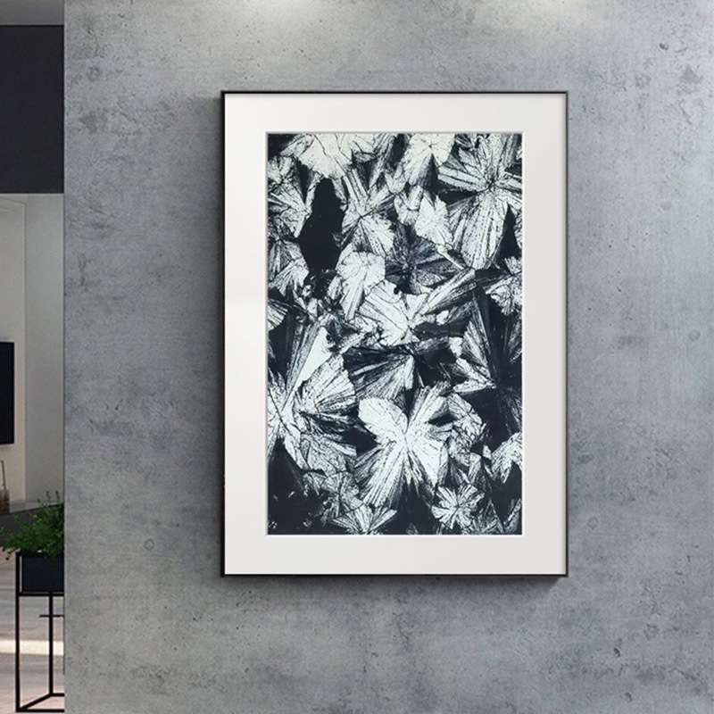 装饰画现代简约客厅挂画黑白花卉卡纸壁画北欧风格组合画小众艺术