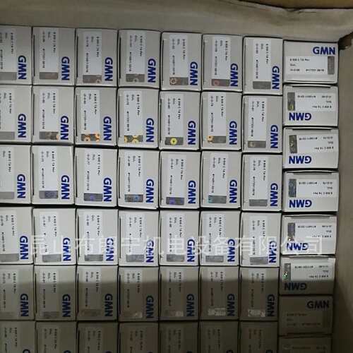 GMN  FE508Z FKS6205/2-2RS(301097) FPD442 VS20轴承 单向离合器