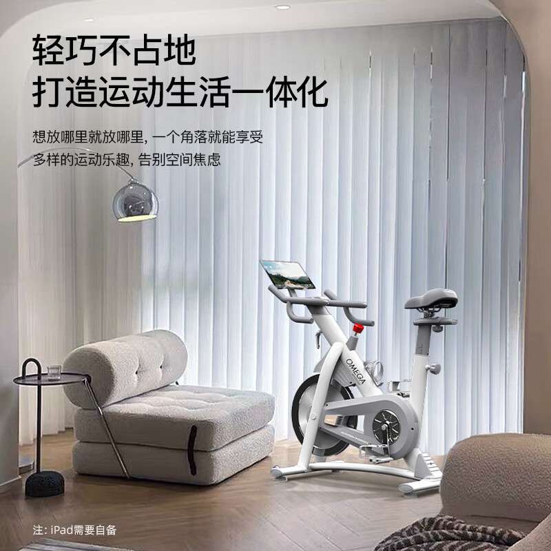 汉臣智能动感单车脚踏车室内可调无极变速动平衡飞轮组X11eco