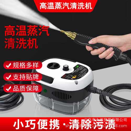 高温高压蒸汽清洗机空调厨房油烟机2500W家用高温消毒机小巧