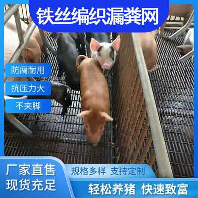 钢丝猪床网养羊漏粪铁丝网母猪产床网保育网育肥猪脚踏网狗笼底网