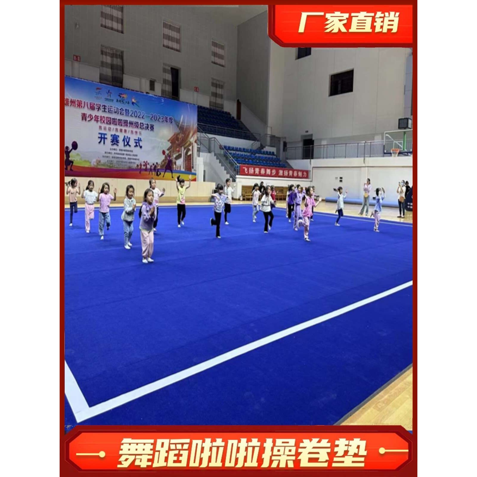 啦啦操卷垫艺术体操垫健美操武术散打格斗搏击体适能训练舞蹈地垫