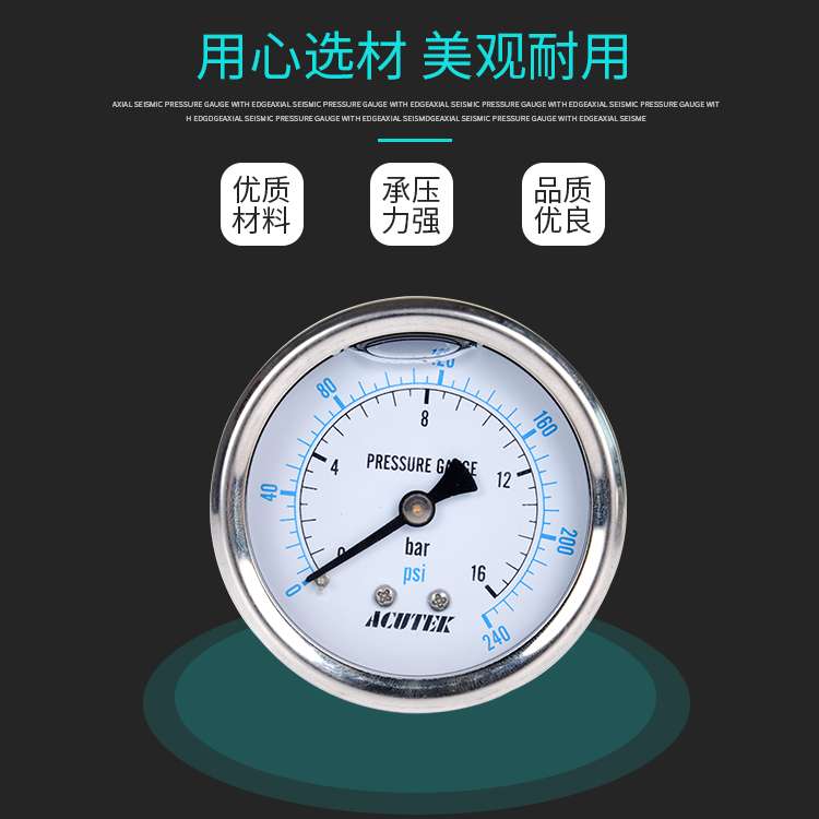 轴向耐震压力表 ACUTEK 原装出口 YN60Z 16bar G1/4B防震压力表