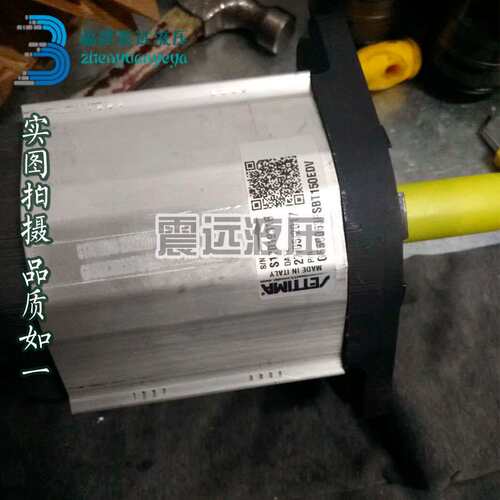 原装意大利Settima螺杆泵 螺旋泵 注塑机 油压机油泵G47 2V 50cc