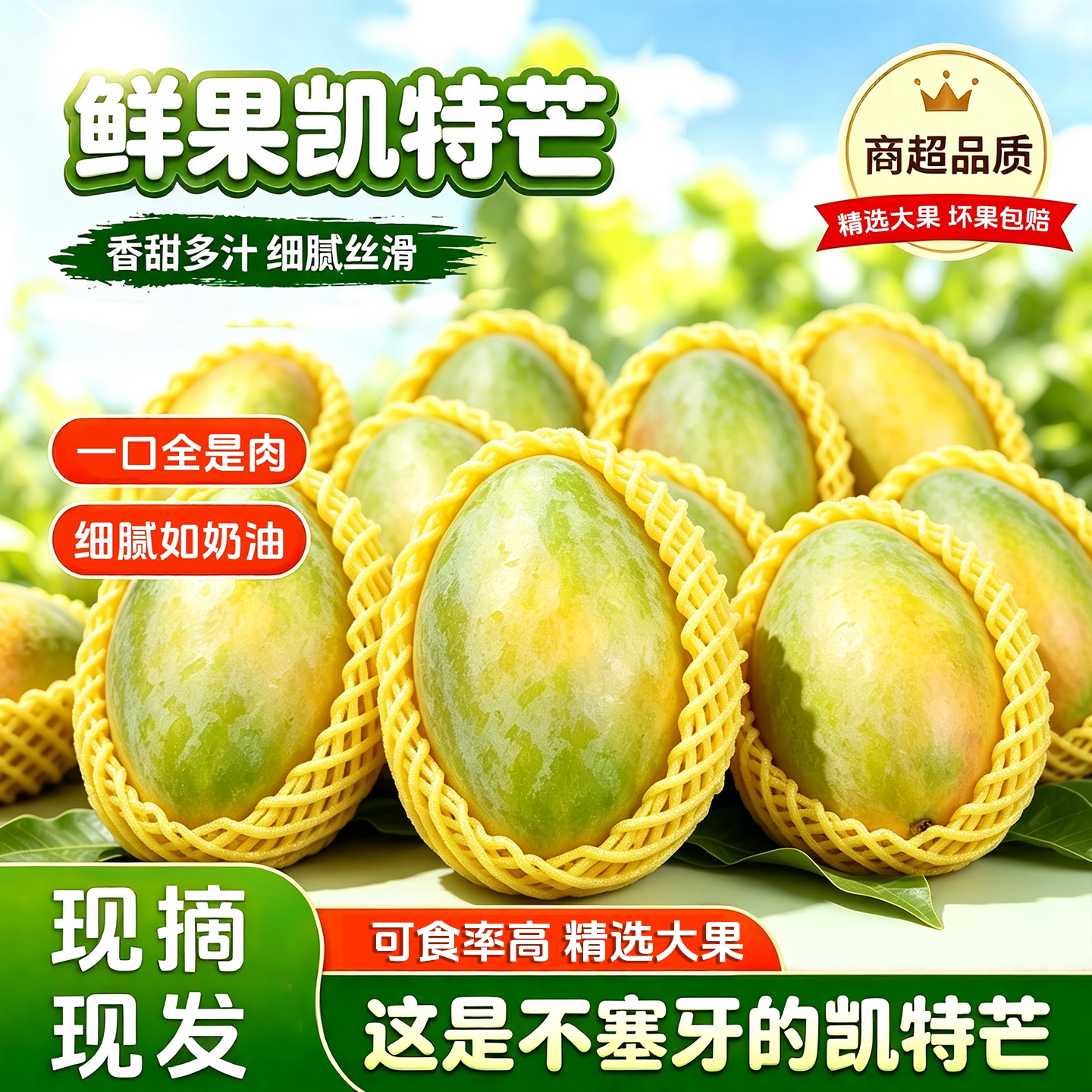 正宗四川攀枝花凯特大芒果