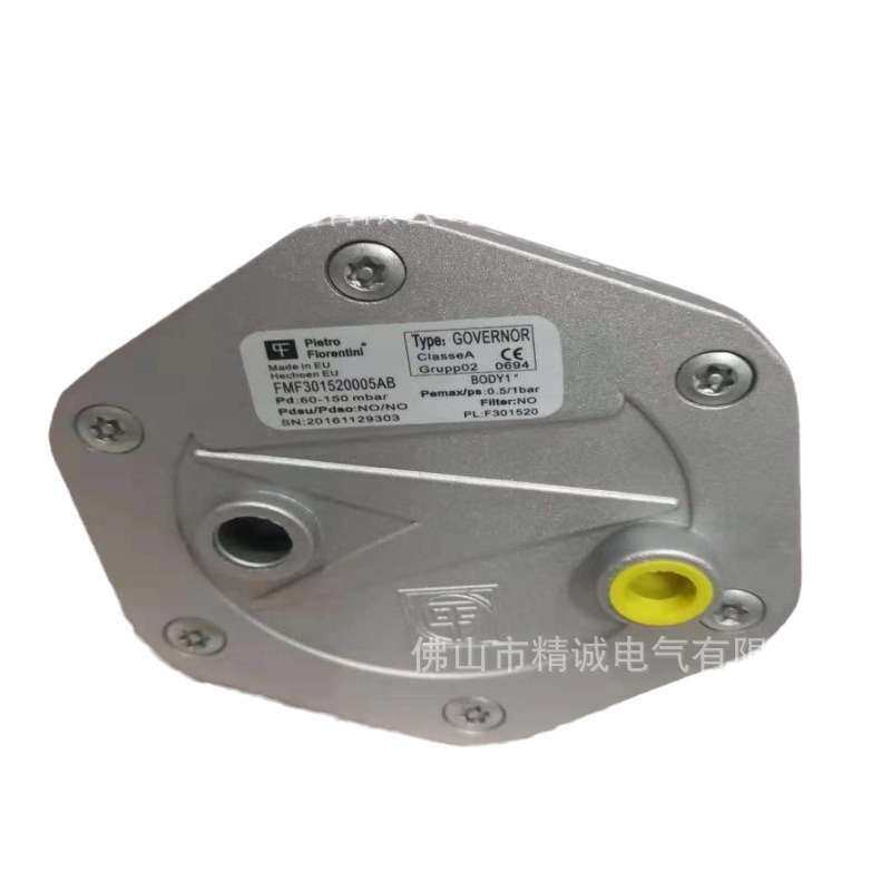 厂家 原装意大利菲奥过滤器Fiorentini 10603/F DN15 过滤器