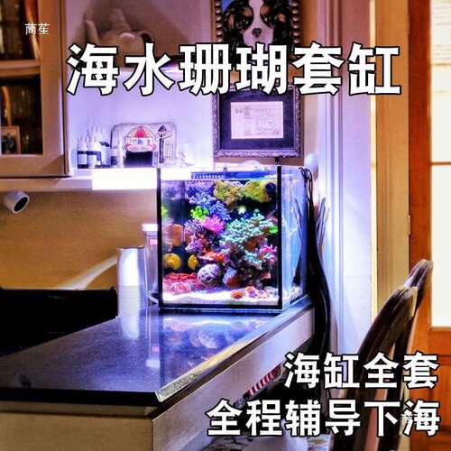 海水缸全套设备珊瑚海水鱼缸小型白海缸新手桌面40背滤海缸