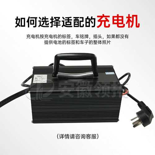合力力达CBD15-190LI锂电充电机LCDQ-72V4A/8A 24V/100A(REMA160)