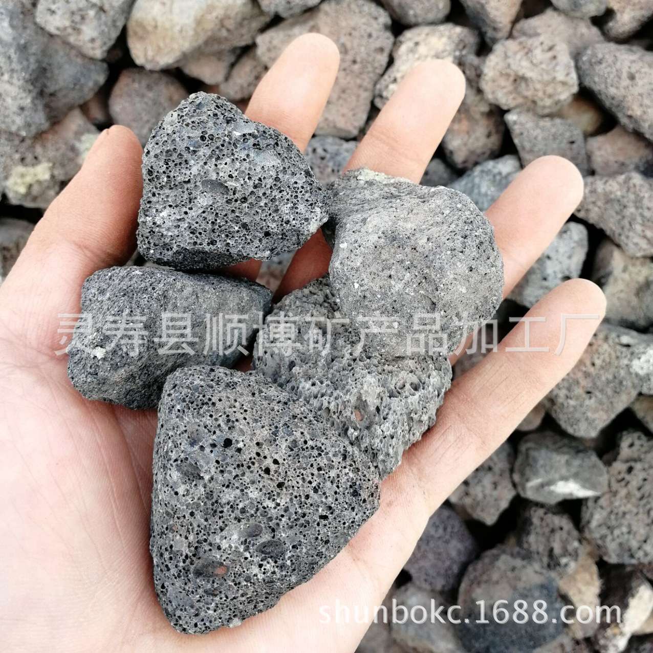 黑色火山石颗粒 多肉介质颗粒土植料 园艺水族黑色火山岩滤料