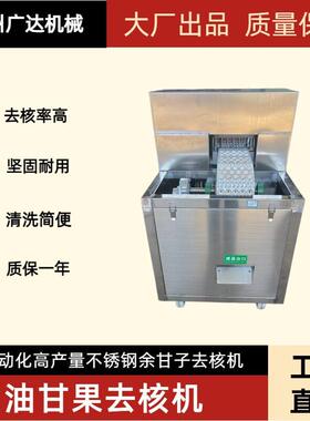 沧州广达机械小型余甘子去核机余甘子去籽机厂家直销油柑果去籽机