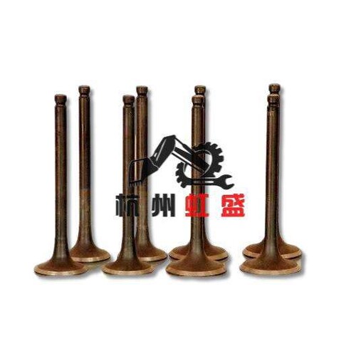 适用斗山DX300 DX340 斗山DL08进排气门