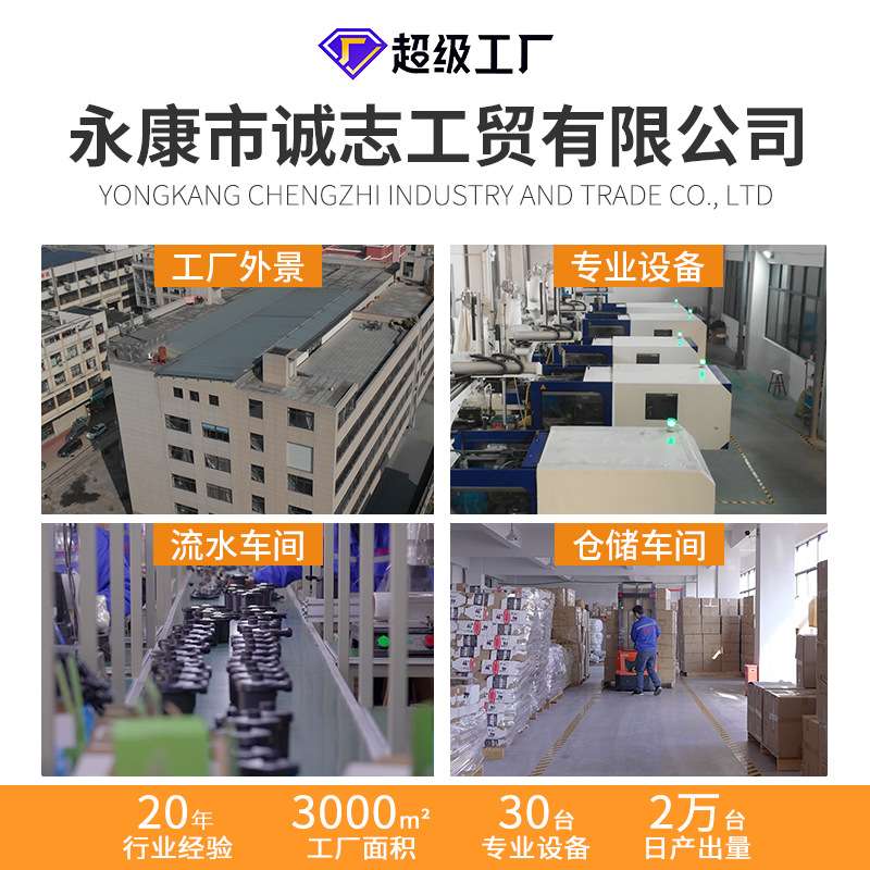 户外小型电动充气泵家用车载便携电动泵 充气抽气电泵110~240V