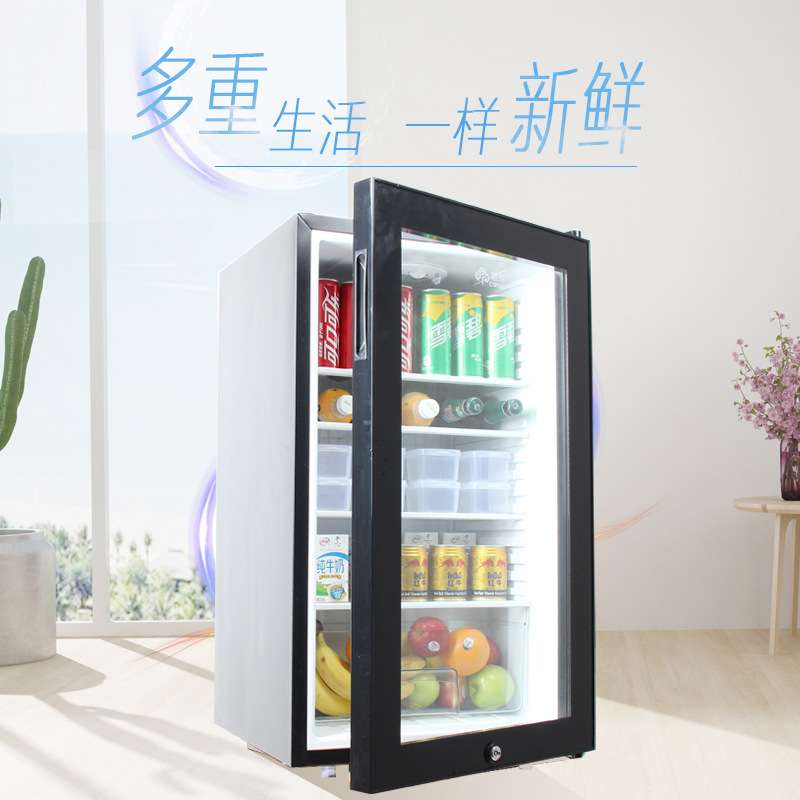 幼儿园食品留样专用柜饮料冷柜留样冰箱小型家商用冷藏展示柜带锁