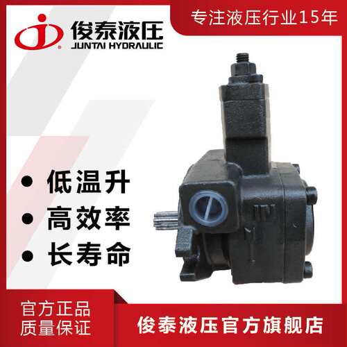 （厂家现发）俊泰 铸铁 变量叶片泵VP-SF-15-D 花键式液压油泵