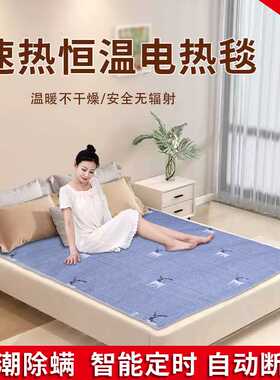 电热毯双人双控180×200家用防漏电电暖单人学生恒温电褥子