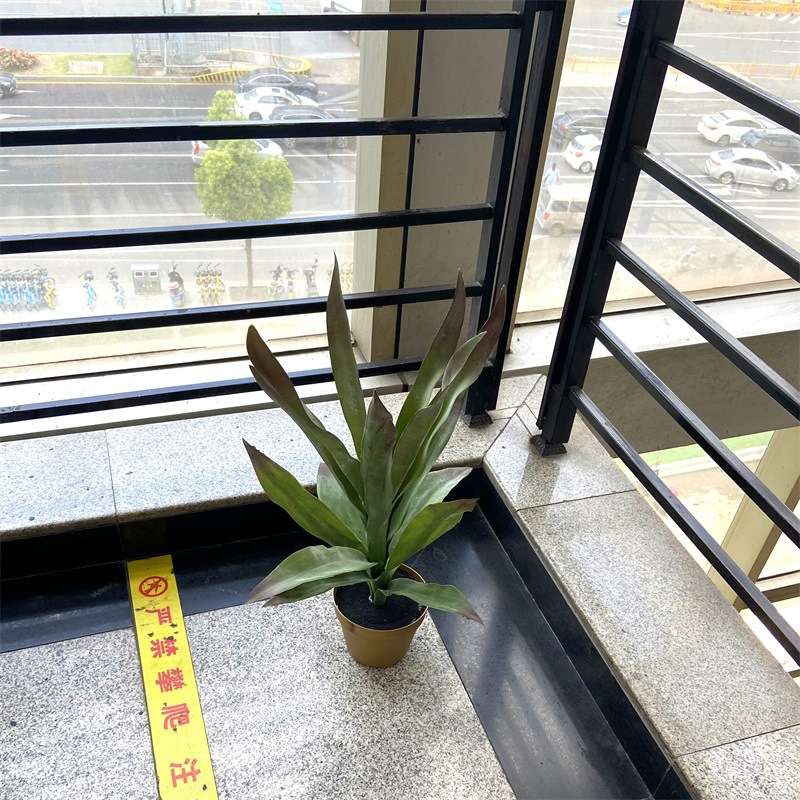 北欧仿真盆栽多肉类植物龙舌兰铁景观酒店软装民宿装饰叶盆景摆件