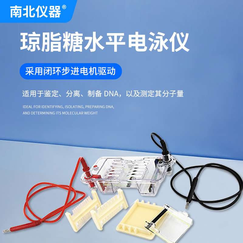 北京六一琼脂糖水平电泳仪DYCP-31CN实验室生物分子试验电泳槽