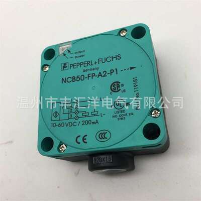 电感式大距离方形接近开关 NCB50-FP-E2-P1 NCN50-FP-A2-P1