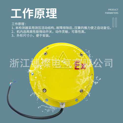 防爆溜槽堵塞检测开关BXYLC BXYZX圆型堵塞检测器堵料堵煤开关BDS