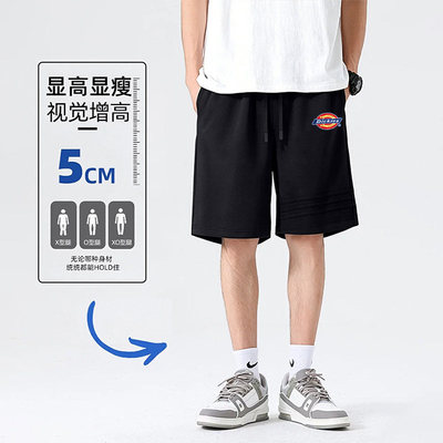 Dickies男士夏季短裤宽松工装裤