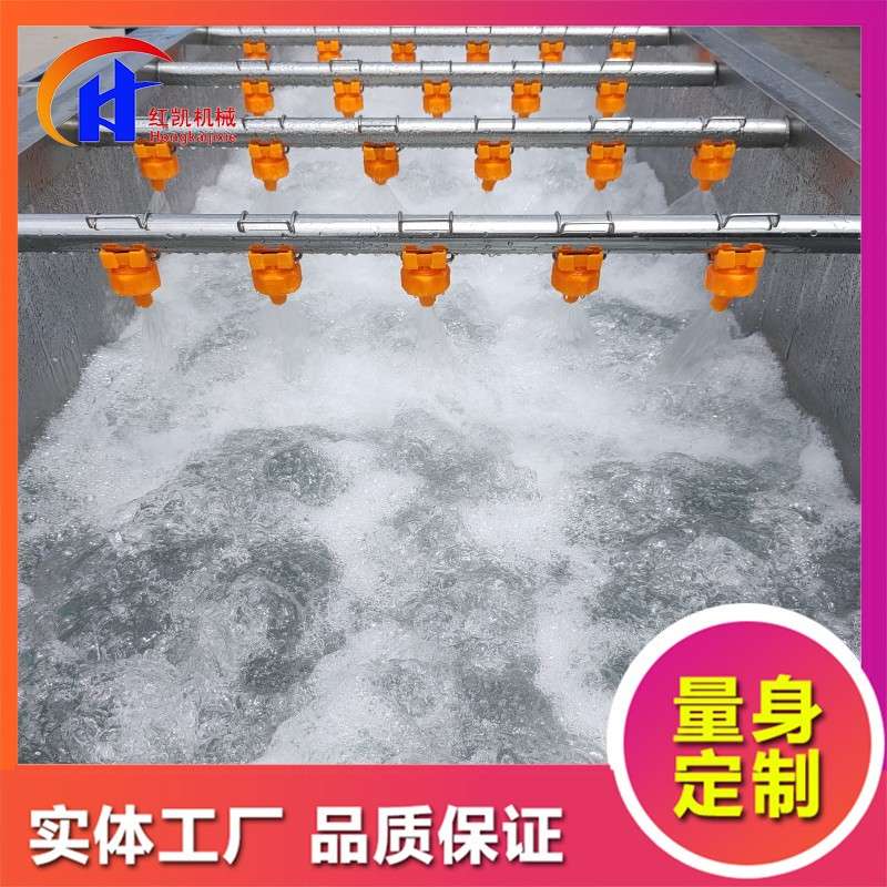 供应西红柿气泡清洗机 气泡喷淋式果蔬清洗机 香菇清洗机设备