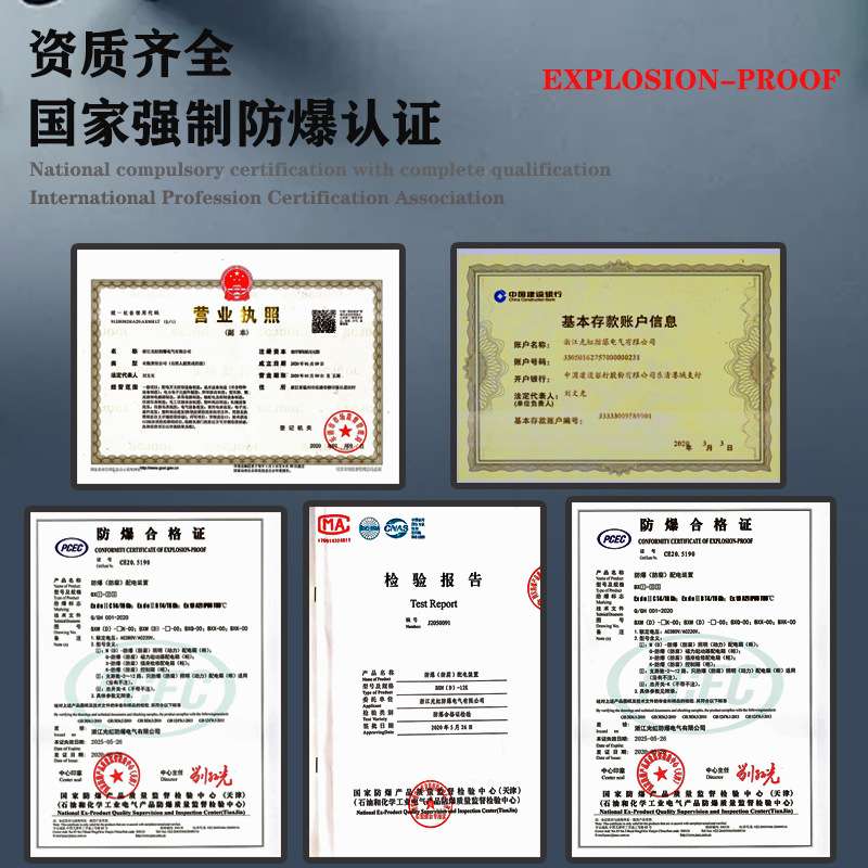 BXMD-6K一控四防爆照明动力配电箱开关控制箱防爆多回路带总开关