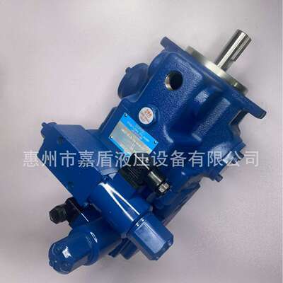 桑尼士SUNNY叶片泵注塑机油泵 3520VQ-30A11-1DD20R 双联液压泵