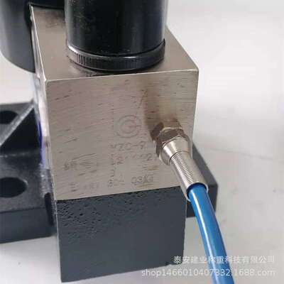 YZC-9D Loadcell Digital Load cell High precision reliability