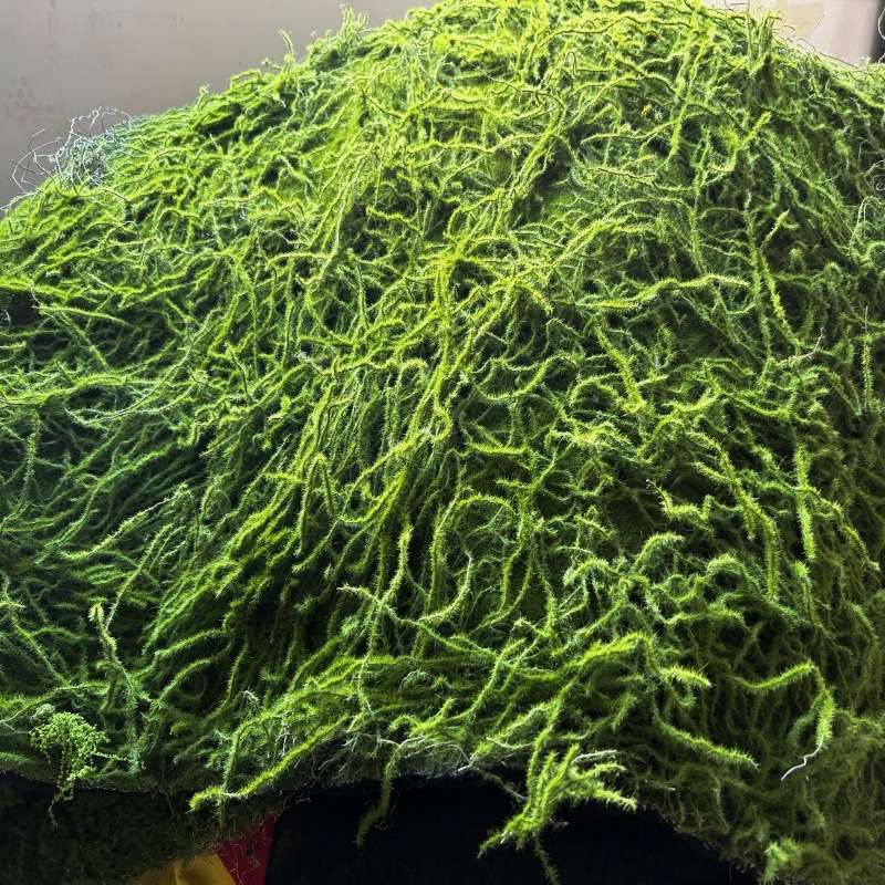 仿真干苔藓青苔羊毛藓不掉色水陆缸雨淋缸植物墙假山水苔石头垫材