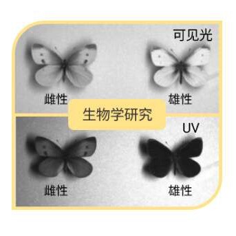 大恒 紫外工业相机 MER3-810-36G3M-P-UV F02 划痕检测 塑料检测