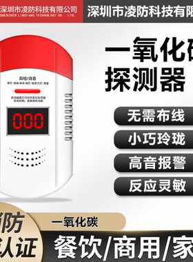 一氧化碳报警器家用蜂窝煤烟co户外便携车载一氧化碳检测仪电池款