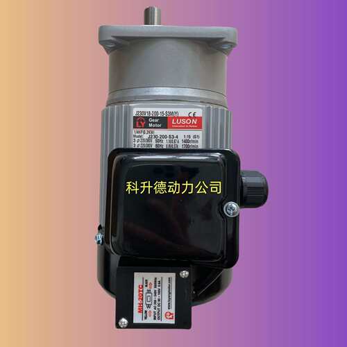 LUSON电机  LY马达  J220V16-200-15-C(Y)   J220-200-C-4
