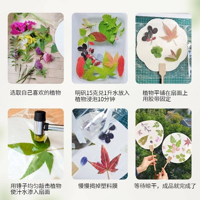 溥畔年 植物敲拓染团扇复古手工diy工具套装材料包明矾亲子活动水