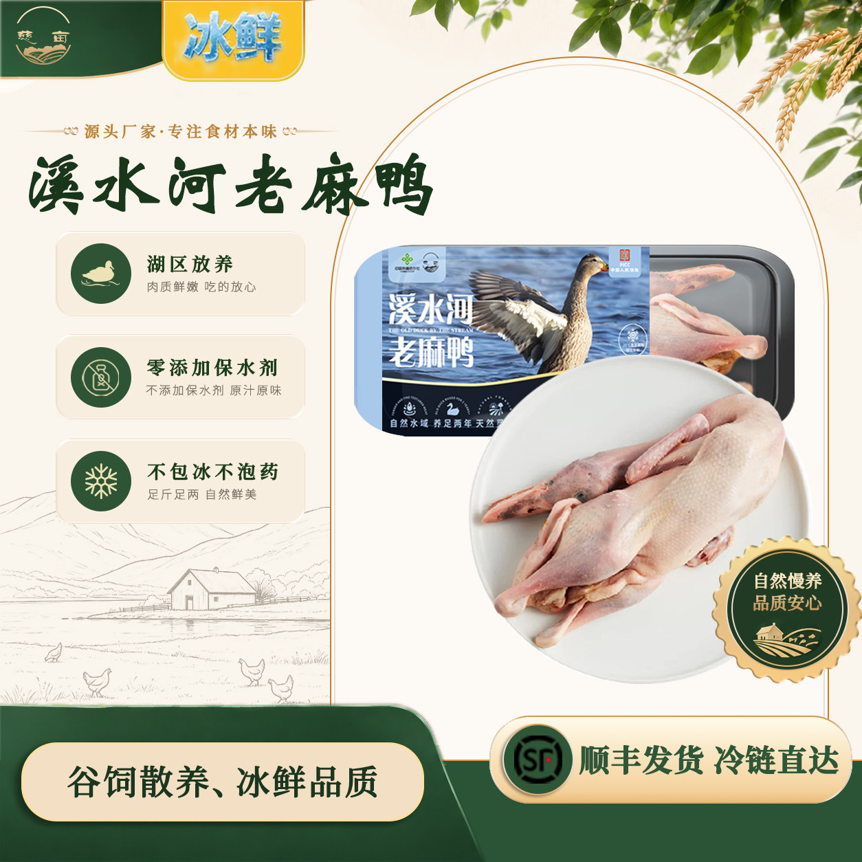 慈亩溪水河老麻鸭农家散养二年清水河老鸭子稻田麻鸭新鲜番鸭土鸭