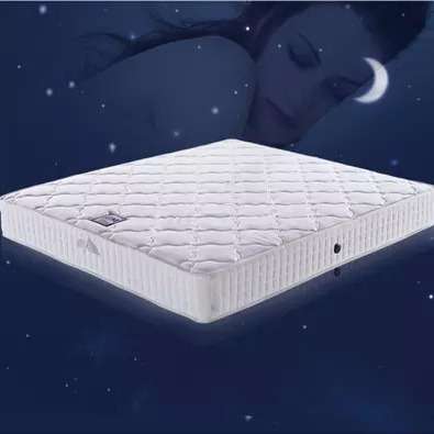 椰棕床垫厚薄款弹簧棕子经济型儿童老人床垫