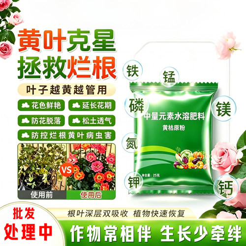 黄枯原粉枯萎炭疽微生物菌营养液