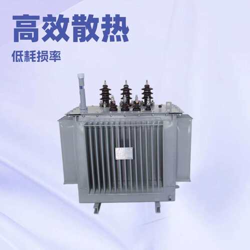 出口油浸式变压器s11-315kva全铜三相10高压s13-630kva 变压器