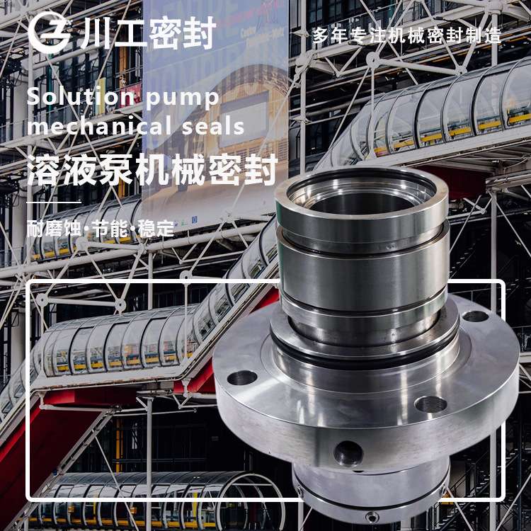 弹簧轴封 SE2-AP-80-QRVQ\250HS-AH 专业用在生产食盐上机械密封