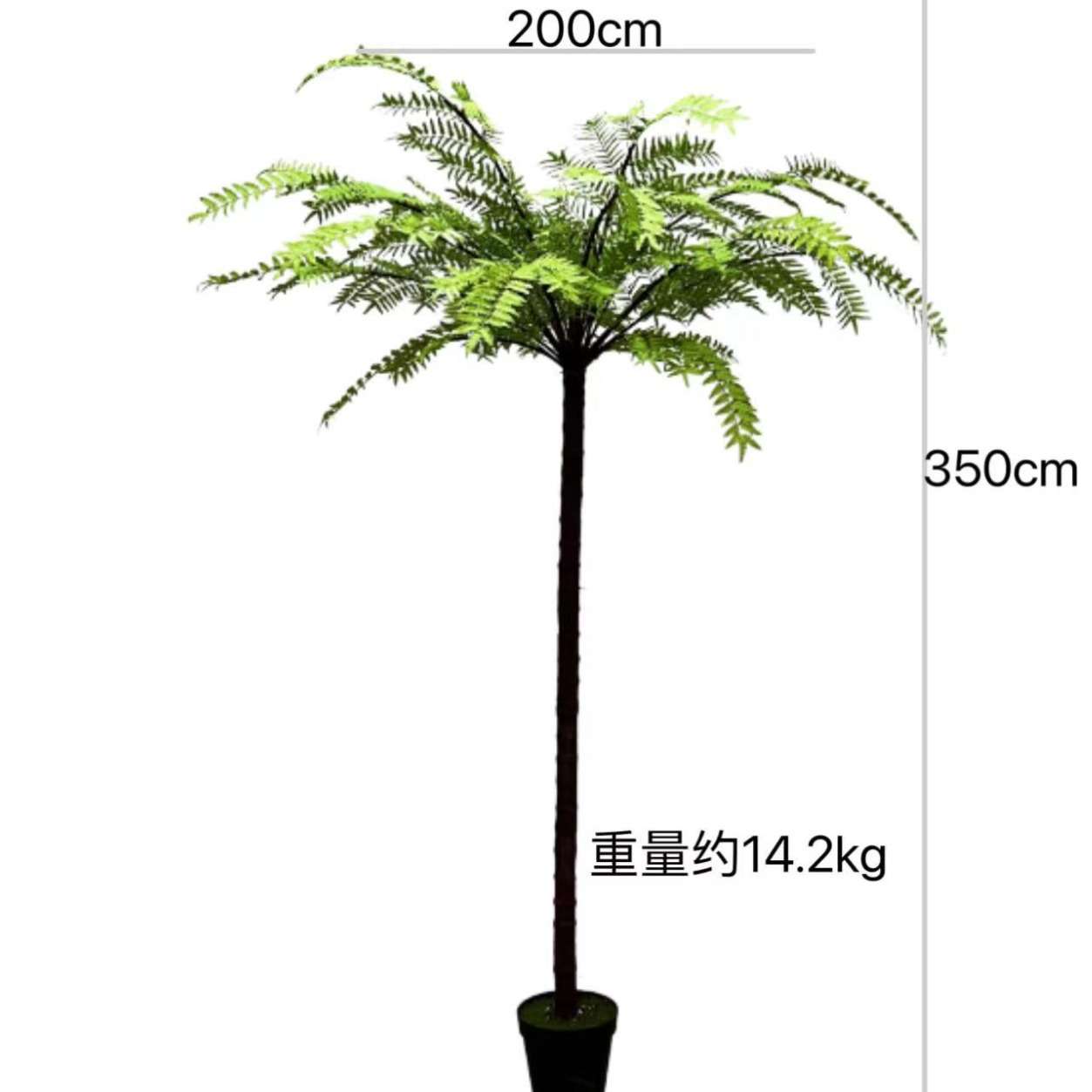 大型仿真桫椤蕨草叶树绿植原始森林风格室内庭院落地景观植物盆栽