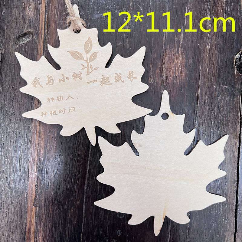 10片木质挂牌 学校植树节吊牌 树木认养牌 植物标签牌 名字卡