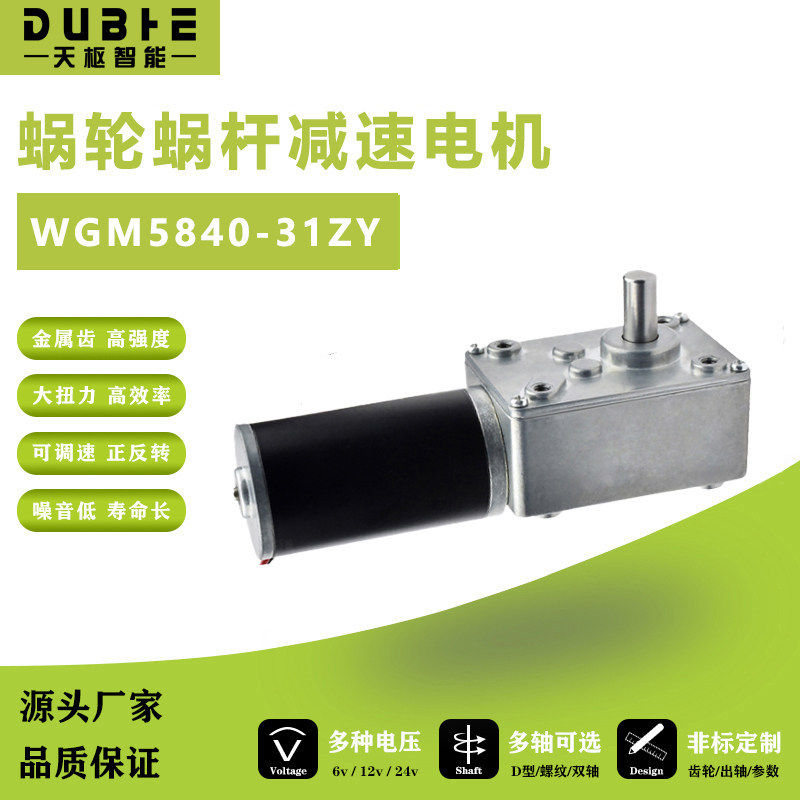 5840-31ZY涡轮蜗杆减速电机微型直流自锁调速慢速静音马达12伏24V